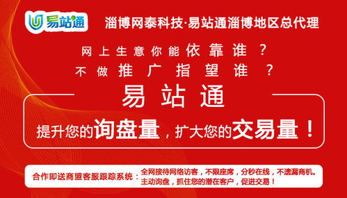 淄博網泰科技與濱州網絡推廣公司 技術推廣的本地化服務解析