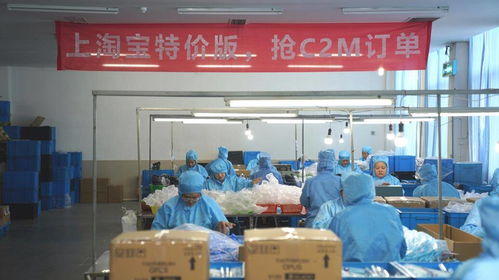 淘寶特價版上線外貿(mào)頻道，2000家大牌外貿(mào)工廠入駐，電器輔件銷售迎來新機(jī)遇